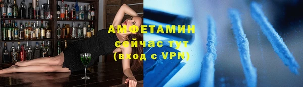 амф Алексин