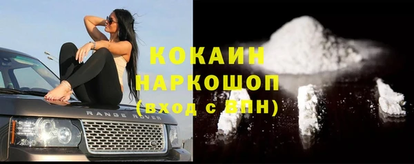 амф Алексин