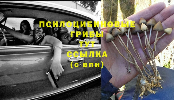 марки lsd Аркадак