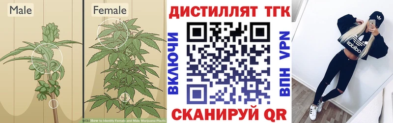 закладки  Валдай  МЕГА tor  ТГК концентрат 