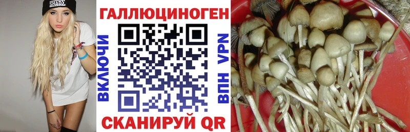 Галлюциногенные грибы Psilocybe  гидра как войти  Валдай 